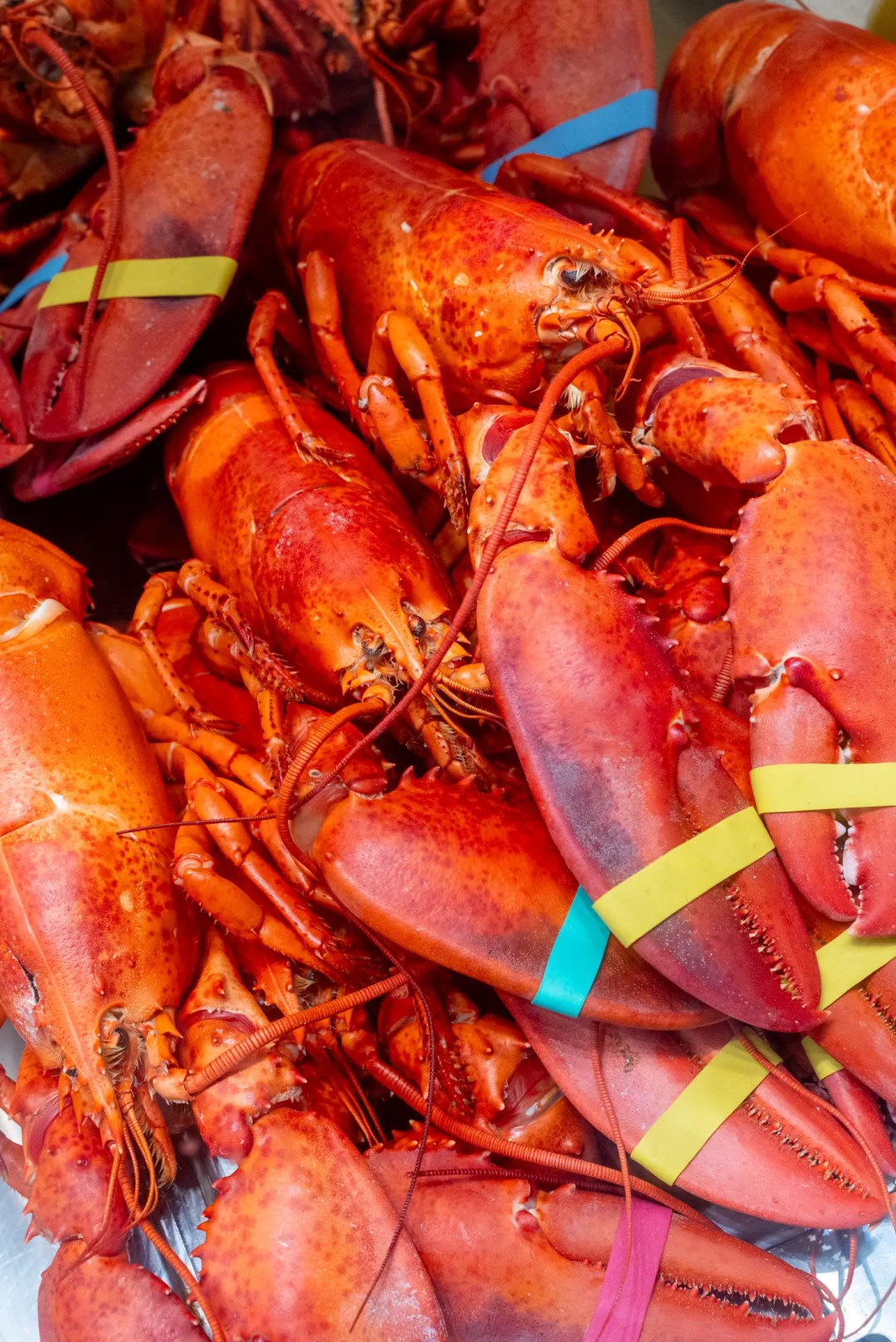 An image of freshly cooked lobsters in an outdoor market. The lobsters are brilliant red, rendered in sharp detail by the Nikon Nikkor 45mm f/2.8P lens which is being reviewed.